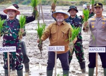 Berau Tambah 100 Hektare Sawah, Ini Dampaknya bagi Petani