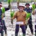 Berau Tambah 100 Hektare Sawah, Ini Dampaknya bagi Petani