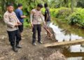 Buruh Sawit di Paser Tewas Diduga Diterkam Buaya di Area Kebun