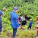 Detik-Detik Pikap Terjun ke Jurang 10 Meter di Bontang, Ayah-Anak Selamat