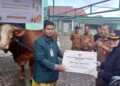 Dipelihara sejak Kecil, Cerita di Balik Sapi 732 Kg Bantuan Prabowo untuk Warga Bontang