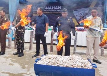 Hampir 2 Juta Rokok Ilegal Beredar di Kaltim, Bea Cukai Samarinda Bongkar Jalur Masuknya