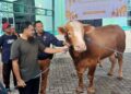 Kurban Melonjak di Masjid Al-Hijrah Bontang, Kini Disembelih di Area Masjid