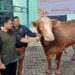 Kurban Melonjak di Masjid Al-Hijrah Bontang, Kini Disembelih di Area Masjid