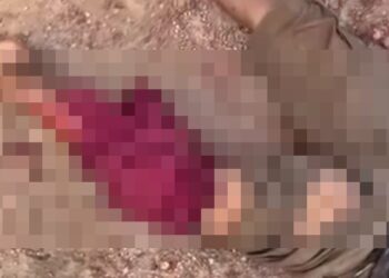 Main Layang-Layang, Bocah di Kutim Diduga Diterkam Buaya