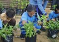 Smart Tani Masuk Sekolah, Siswa SD di Bontang Sudah Panen Kangkung Sendiri