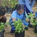 Smart Tani Masuk Sekolah, Siswa SD di Bontang Sudah Panen Kangkung Sendiri