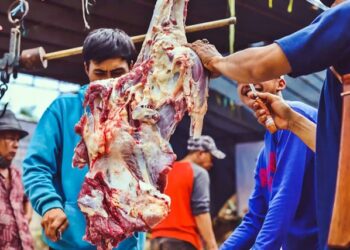 Cacing Hati Ditemukan pada Hewan Kurban di Balikpapan, Warga Diminta Tak Panik