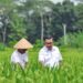 Cuaca Tak Menentu Mulai Ganggu Pangan di Kaltim, Warga Diminta Tak Bergantung Beras