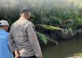 Detik-Detik Ayah dan Anak di Sungai Taberu Paser Berjibaku Lepas dari Terkaman Buaya