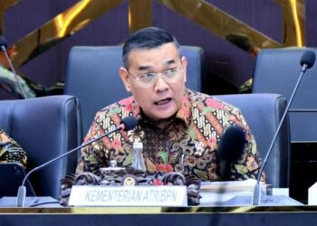 25 Ribu Desa Masuk Kawasan Hutan, Wamen ATR Ungkap Sengkarut Lahan