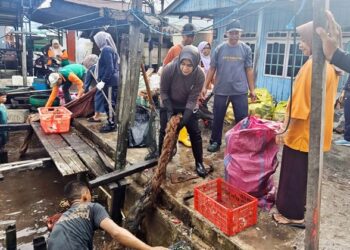 1,8 Ton Sampah Diangkut dari Pesisir Tanjung Laut Indah, Warga Pasang ‘Benteng’ Lawan Sampah Laut