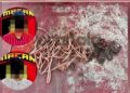 Dua Pemuda Nekat Curi Kabel PLN di Kutim, Endingnya Diringkus di Atas Tiang