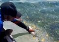 Nelayan Pulau Miang Kutim Resah, Dugaan Pencemaran Laut Muncul di Sekitar Jeti CPO