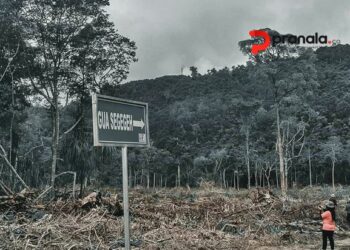 Nestapa Goa Segegeh: Lenyap Digerus Pabrik Semen di Tengah Penilaian Geopark Sangkulirang