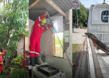 Sehari Tiga Aksi Damkar Bontang, Taklukkan Kobra hingga Biawak Raksasa