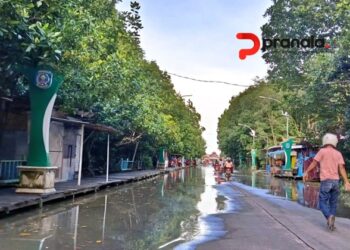 Gelombang Tinggi dan Rob Ancam Bontang Sepekan
